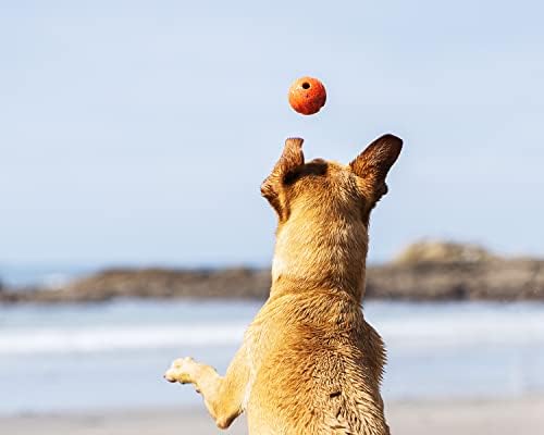 Gülümse! Yüksek Sıçrama Kauçuk Köpek Getirme Topu, Küçük (Renkler Değişir) 2 Paket, Büyük Irklar için