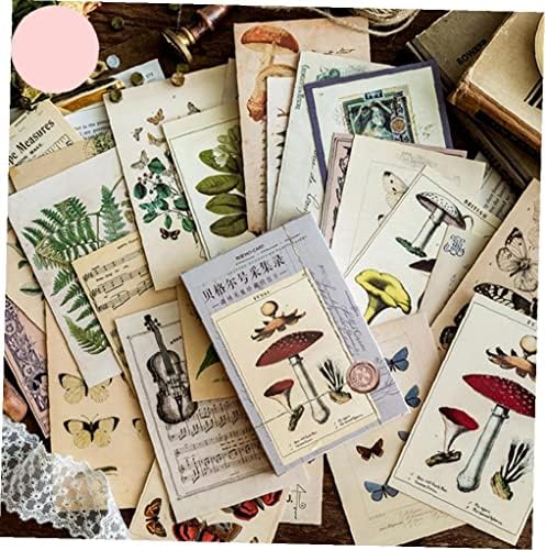 30 adet/kutu Antik Orman Hayvanlar Bitkiler Numune Kartpostal Vintage Stil Yazma Tebrik Hediye Kartları